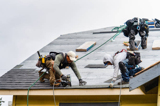 Professional Gutter Installation technician working in Abbeville, MS